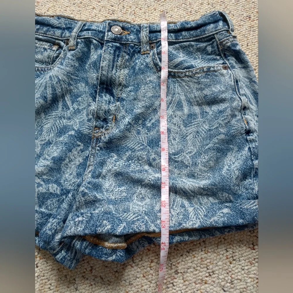 American Eagle Denim Shorts